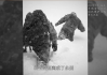 终于现世，雮尘珠为何交给一条蛇？