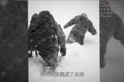 终于现世，雮尘珠为何交给一条蛇？