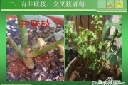 # 票房破百亿之后，他反而在综艺里成了最沉默的人