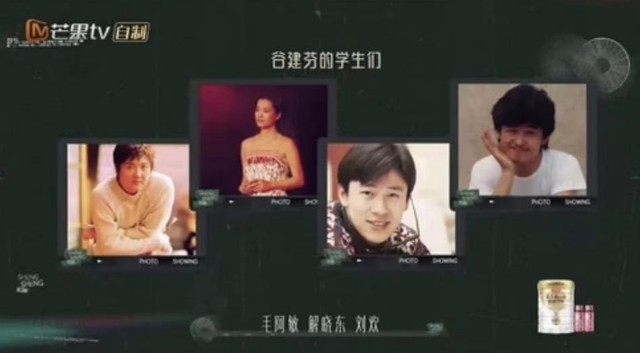 网友对那英舞台表现两极分化评价的社交媒体截图