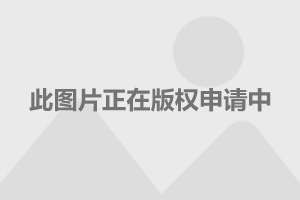 网友在社交平台对吴尊带妻上综艺一事的评论截图