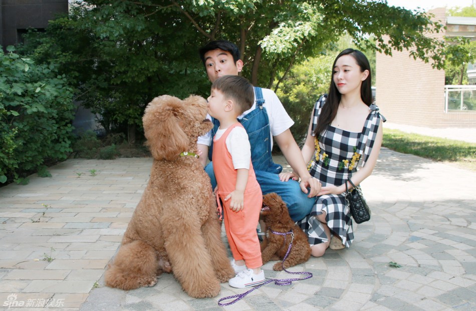 霍思燕身着旗袍在泰国公主杯国际犬展赛场牵犬，专注投入