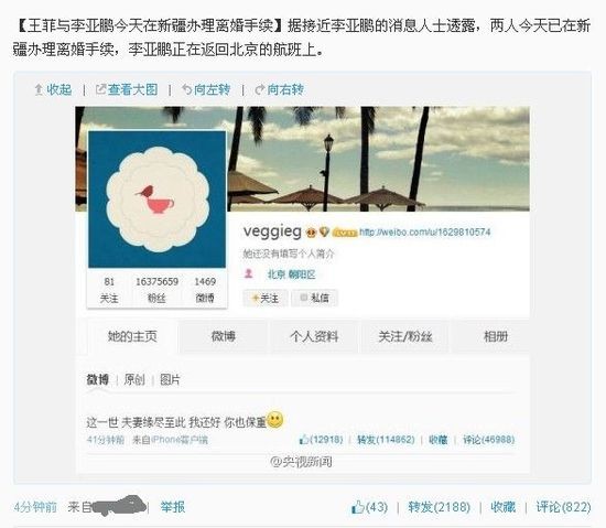 李亚鹏晒出的离婚微博截图与王菲回复
