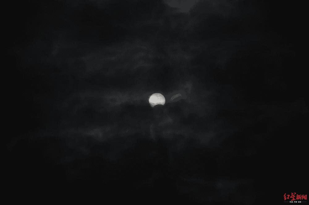 雮尘珠在黑暗中散发幽光的特写镜头