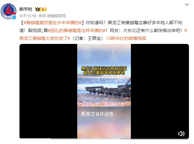 社交平台网友科普读音的高赞动态截图