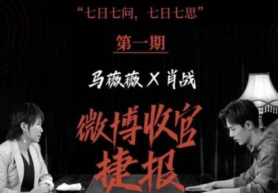 马薇薇在某访谈节目中谈论感情观的片段截图